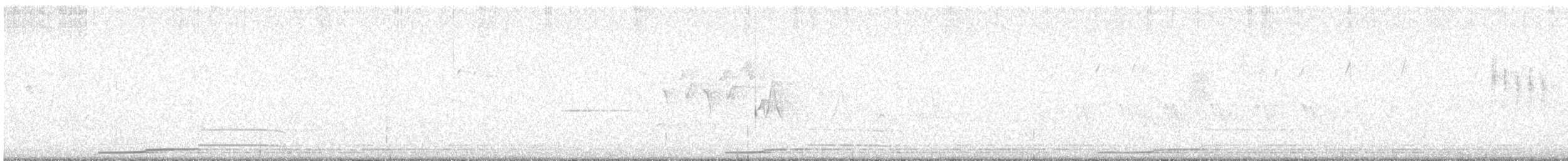Common Loon - ML638282915