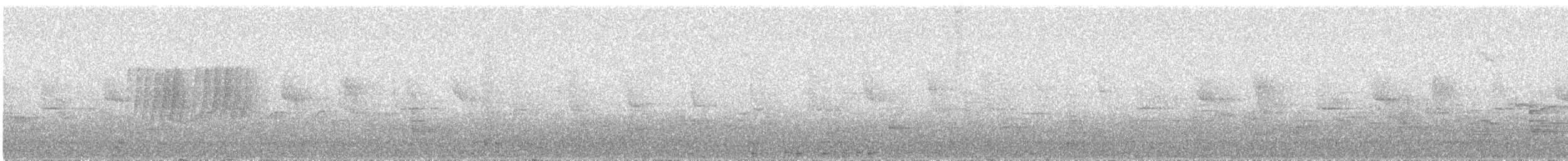 Luì bianco - ML638283456