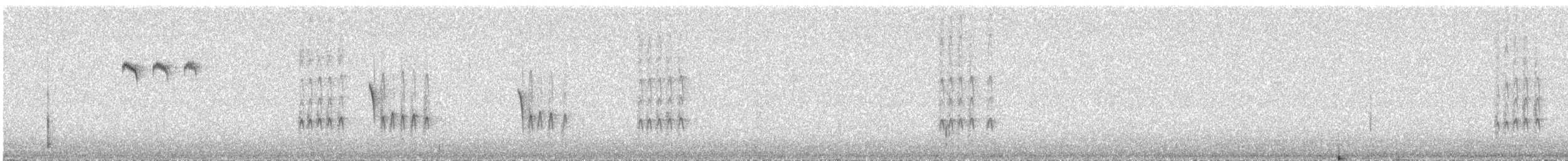 Cincia dal ciuffo - ML638283648