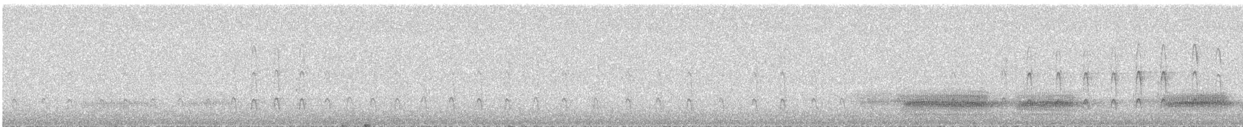 Aves sp. - ML638283729