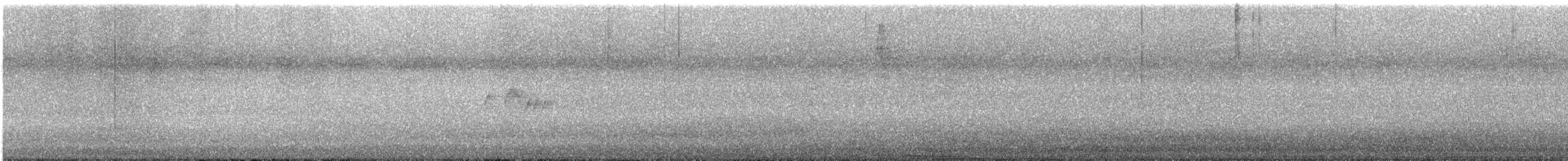 Tyran gris - ML638284142
