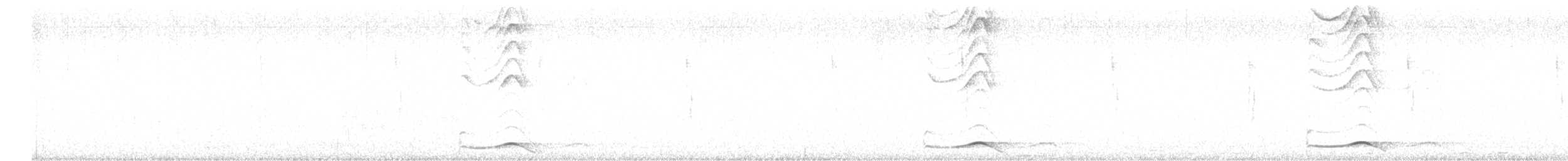 kukačka koel - ML638284513