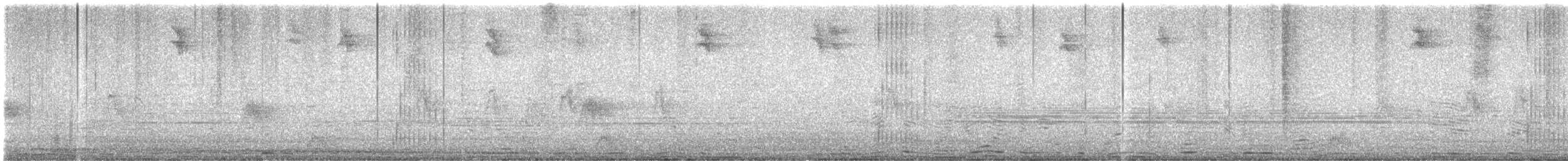Croaking Ground Dove - ML638285037