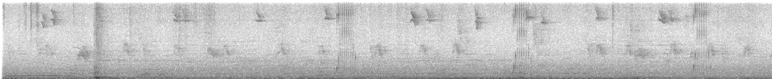 Croaking Ground Dove - ML638285067