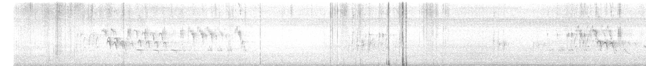 White-browed Wagtail - ML638285843