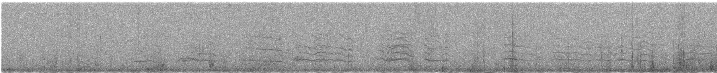 Andean Gull - ML638286691