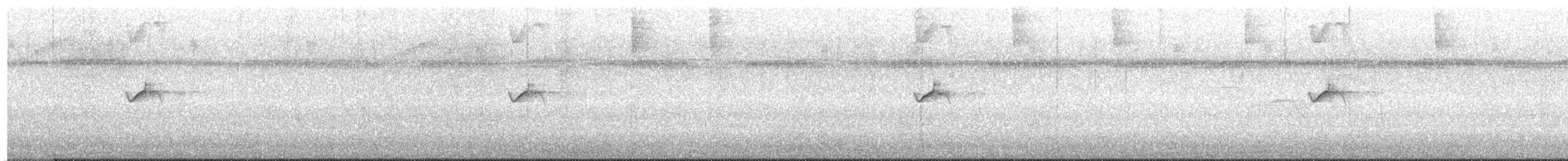 White-tailed Nightjar - ML638287092