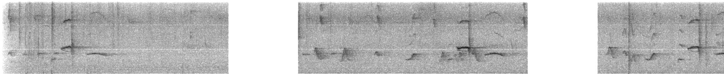 Puerto Rican Oriole - ML638287689