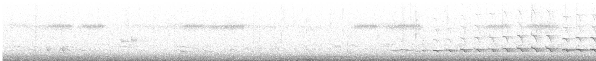 Fischadler - ML638288551