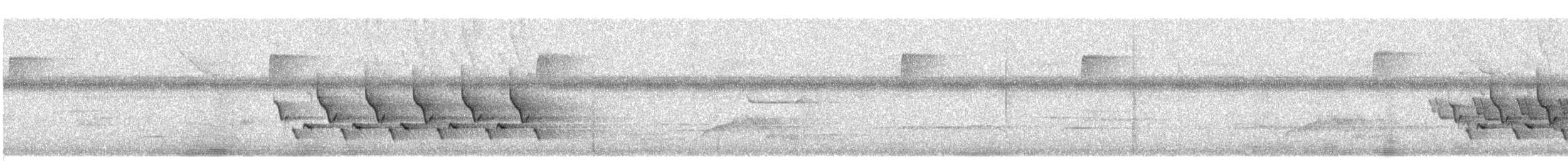 Carolinazaunkönig - ML638288624