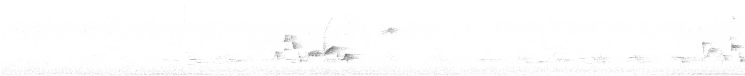 Vireo Gorjeador (grupo swainsoni) - ML638288699