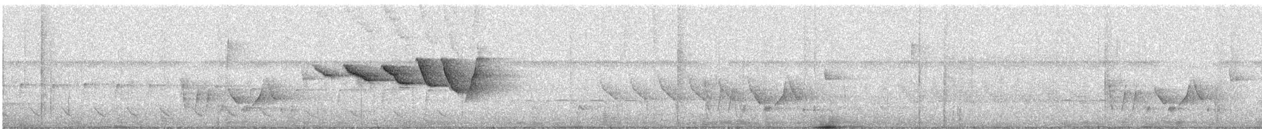 Swainson's Warbler - ML638288913