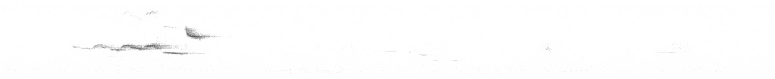 Townsend's x Hermit Warbler (hybrid) - ML638288964
