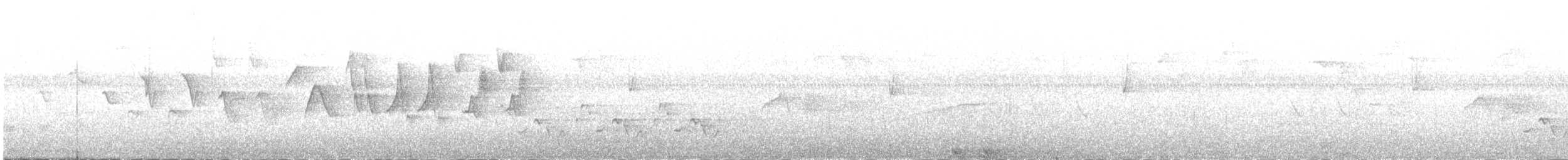 papežík indigový - ML638288989