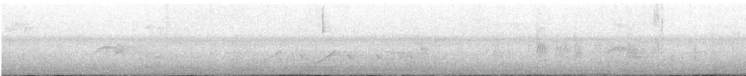 gråfibi - ML638289038