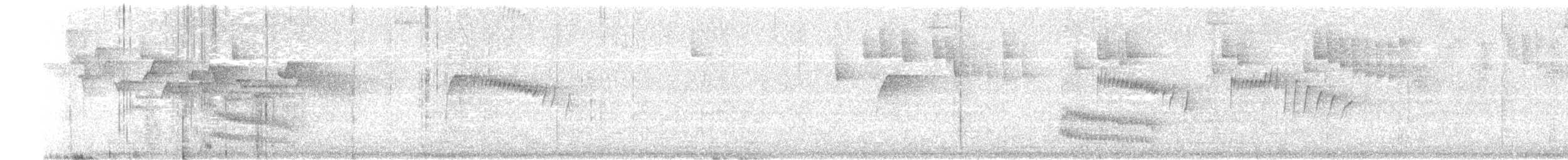 Collared Trogon - ML638289157