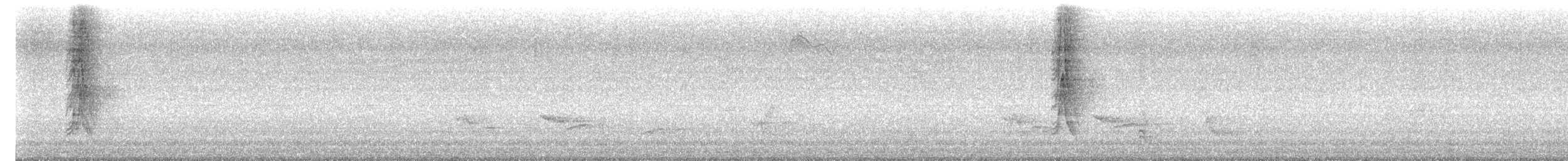 Zozo papargorria - ML638289160