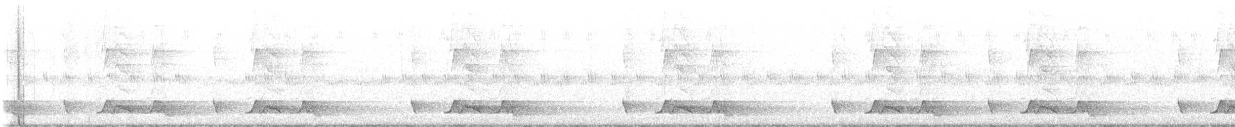 Carolinanachtschwalbe - ML638290187