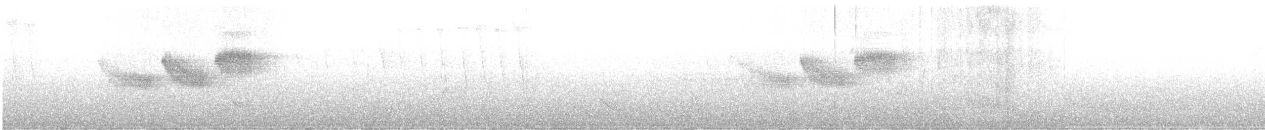 ノドグロルリアメリカムシクイ - ML638291078
