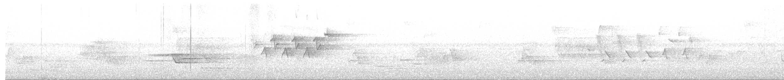 シロオビアメリカムシクイ - ML638291112