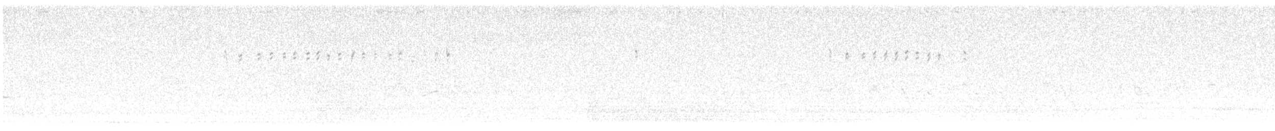 ヒバリヒメドリ - ML638291270