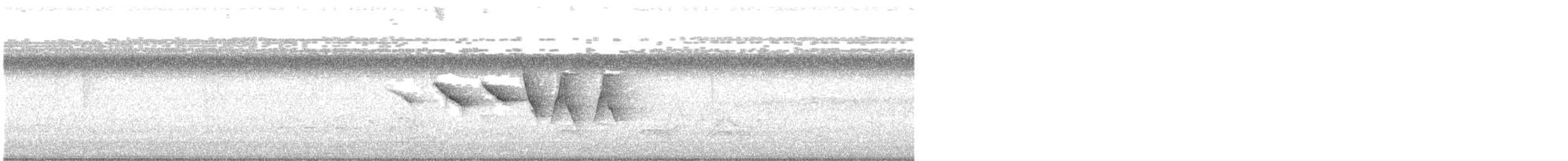 チャカブリアメリカムシクイ - ML638291296
