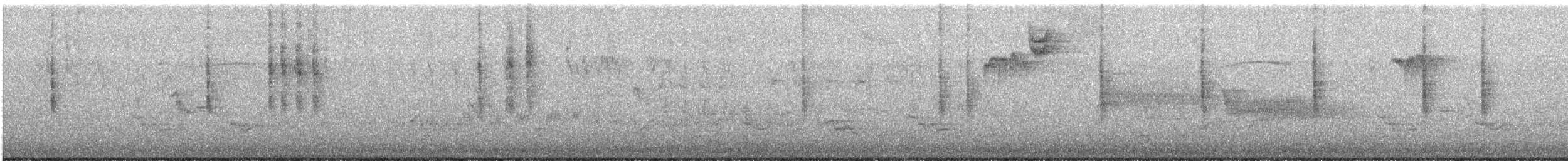 Northern House Wren - ML638292415