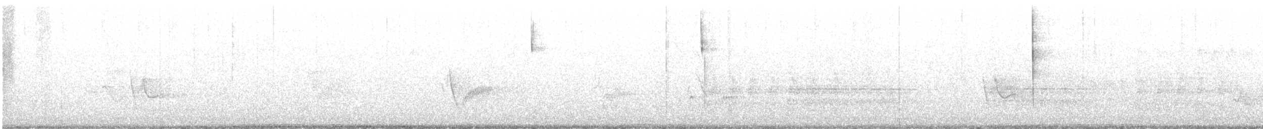 Cassin's Vireo - ML638292584