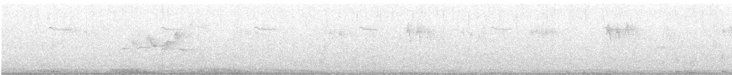 Black-throated Gray Warbler - ML638292588