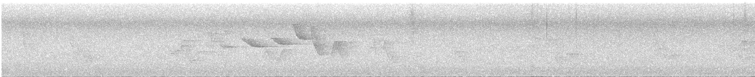 Swainson's Warbler - ML638292880