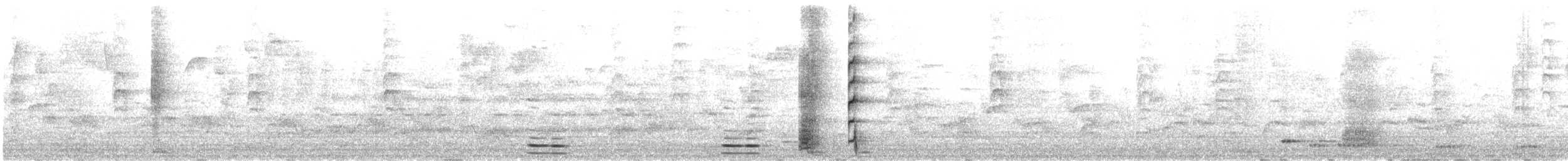 Méliphage tui - ML638292980