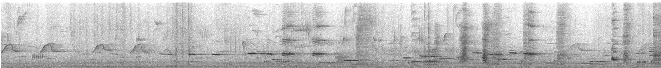 Méliphage tui - ML638293024