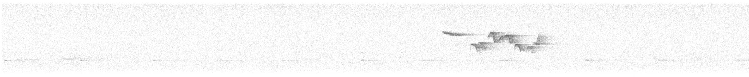 Brown Creeper - ML638293888