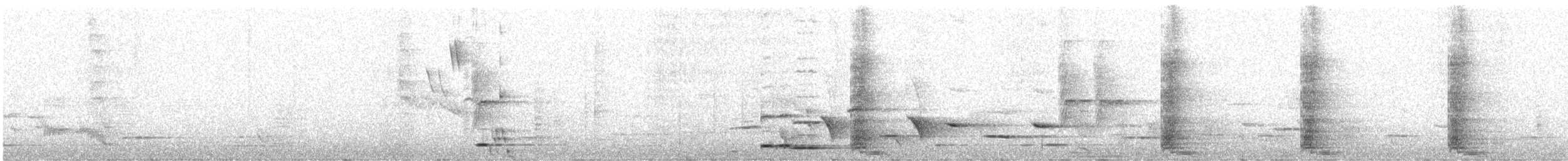 Méliphage tui - ML638295121