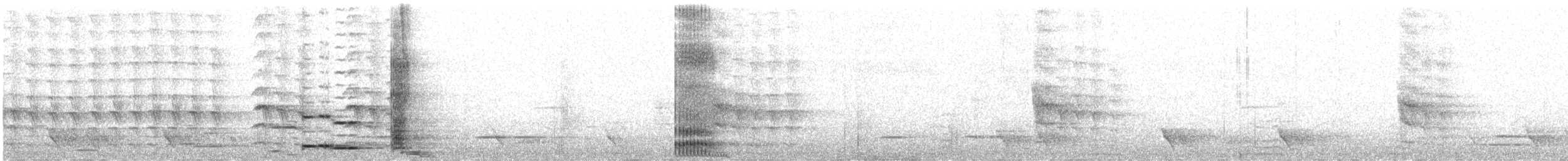 Méliphage tui - ML638295213