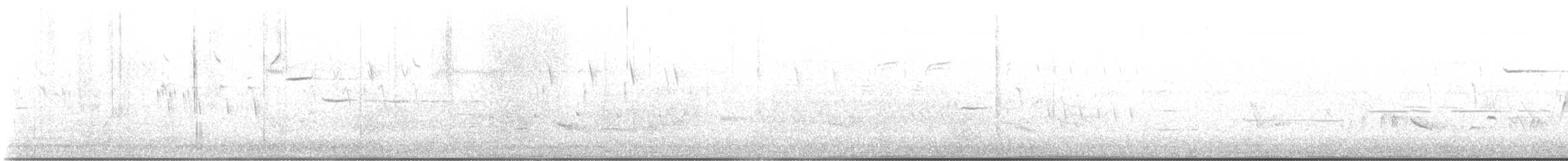 Northern Rough-winged Swallow - ML638295237