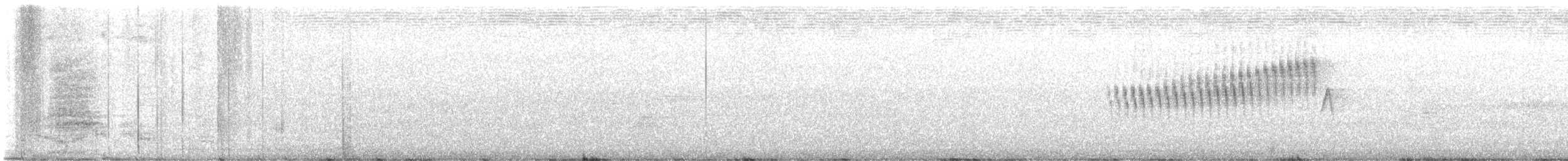 Northern Parula - ML638295563