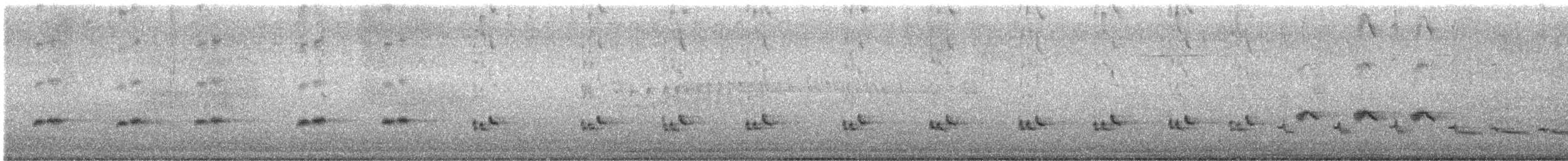 Northern Mockingbird - ML638295669