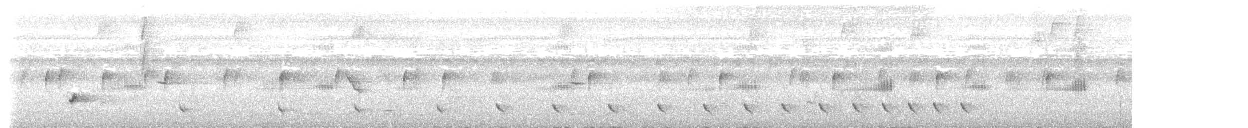 Black-striped Sparrow - ML638295919