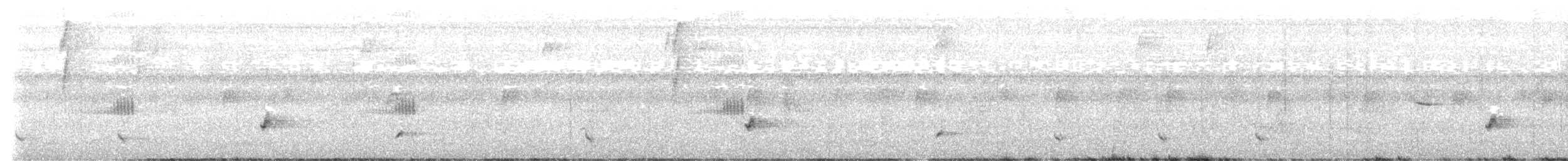 Black-striped Sparrow - ML638295920