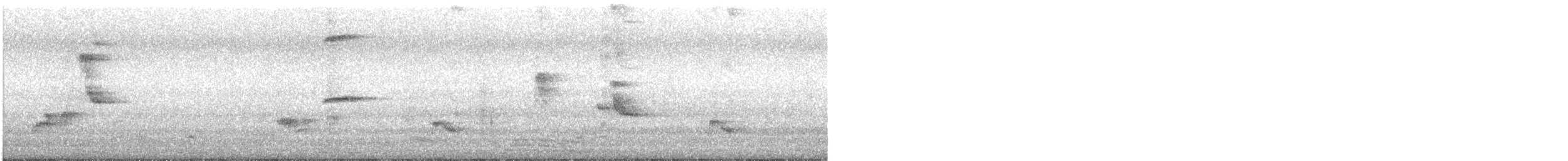 Katzenspottdrossel - ML638296695