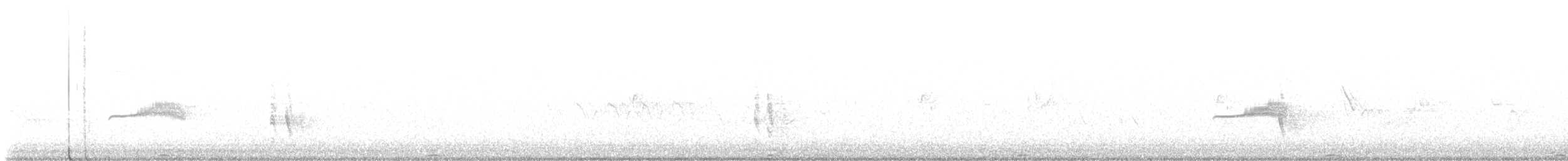 Western Bluebird - ML638297411