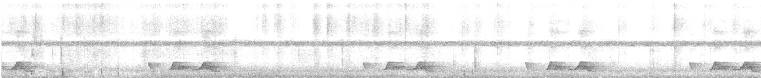 Chuck-will's-widow - ML638297444