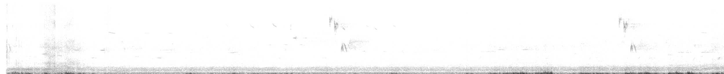 brakkspurv - ML638298836