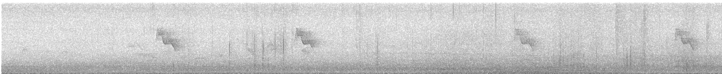 Бор шувууны багын тодорхойгүй зүйл - ML63830071