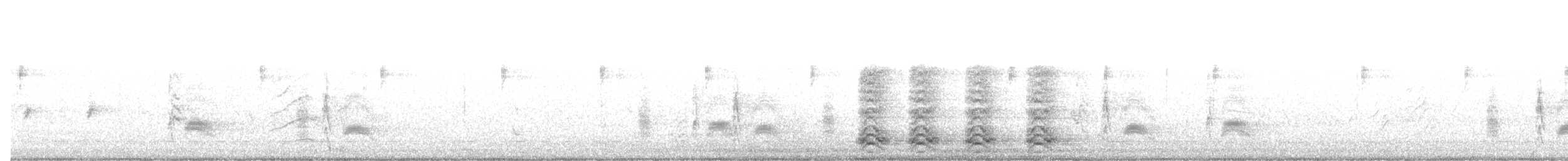 Cassinkönigstyrann - ML638302209