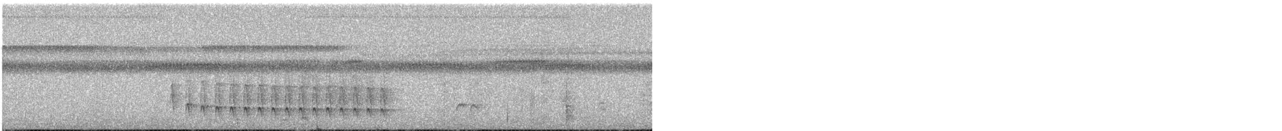 White-flanked Antwren - ML638302248