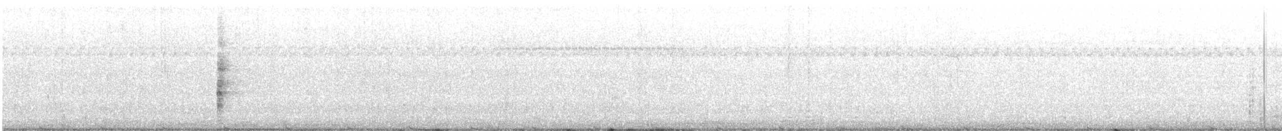 Clapper Rail - ML638303145