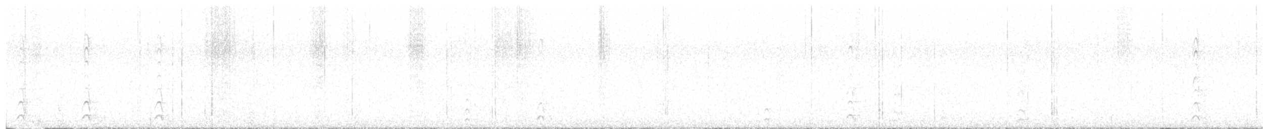 Western Screech-Owl - ML638303168