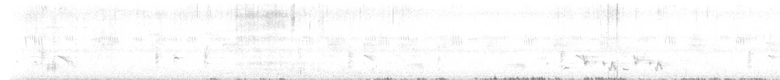 Black Drongo - ML638303306
